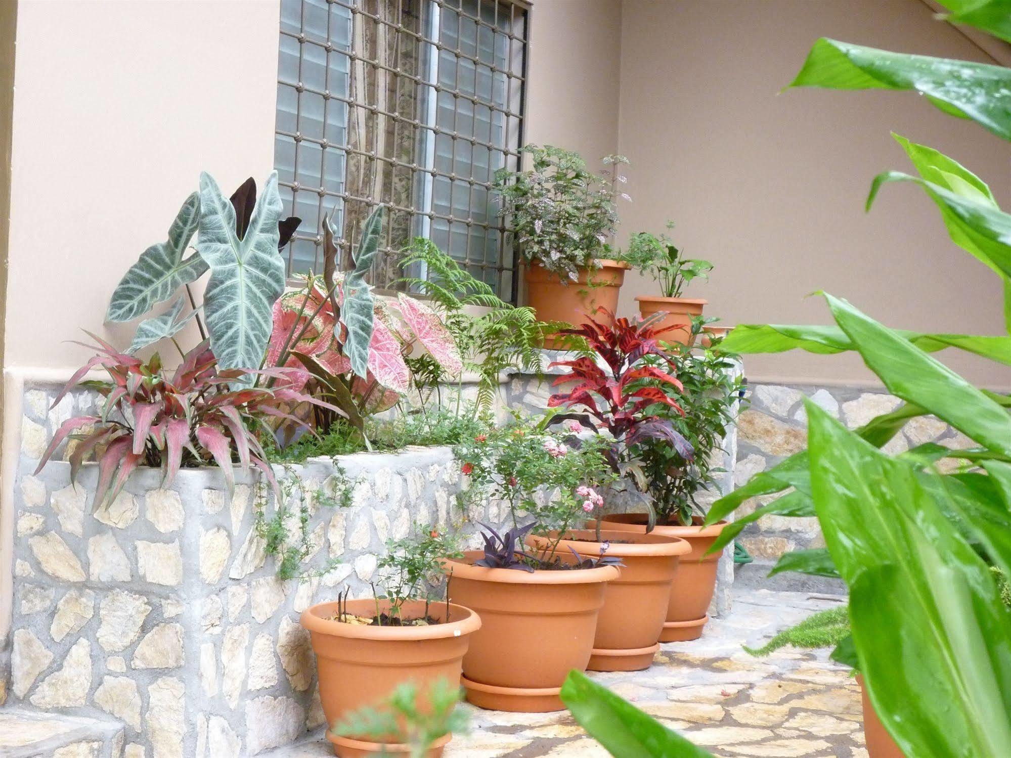 Hotel La Escalinata Copán Kültér fotó